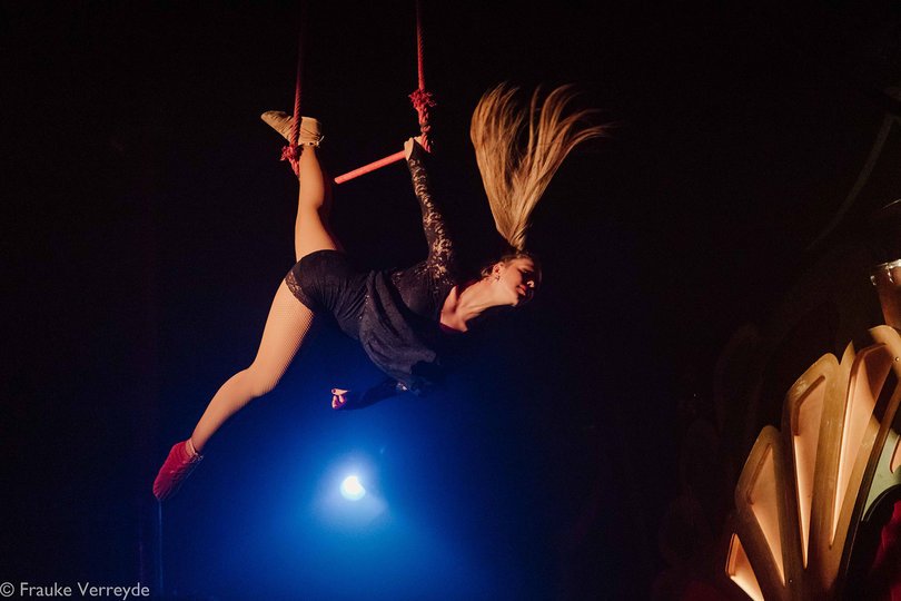 Image 4 in the gallery of the show Swing