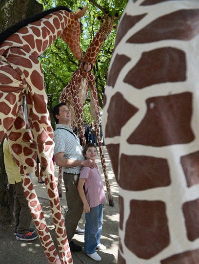 Image gallery 2: Girafes