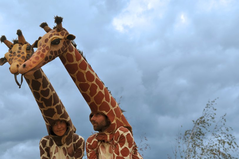 Image gallery 4: Girafes